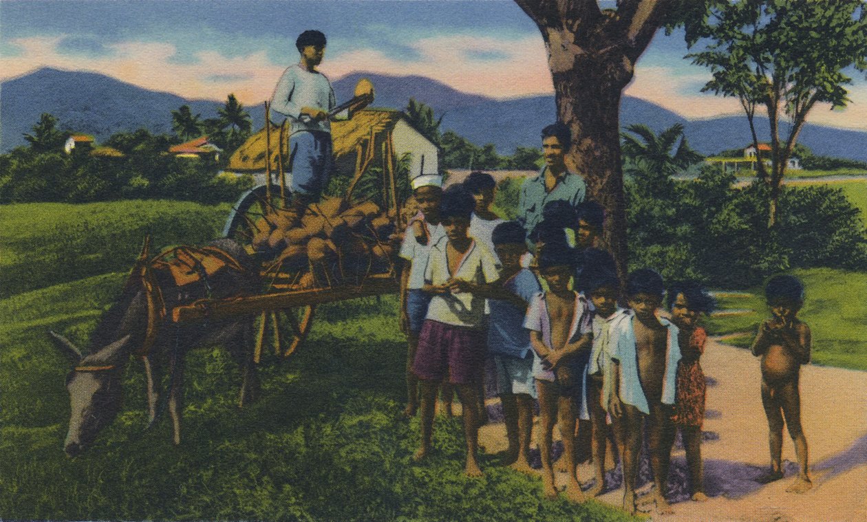 Coconut Vendor, Trinidad, B.W.I., c1940-talet. av Unbekannt