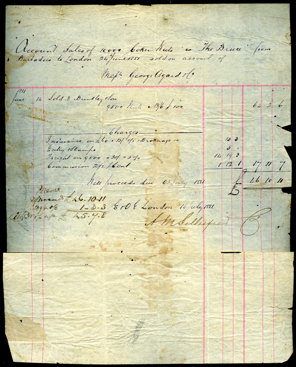 Kokosnötskvitto, Barbados till London, 1881 av Unbekannt
