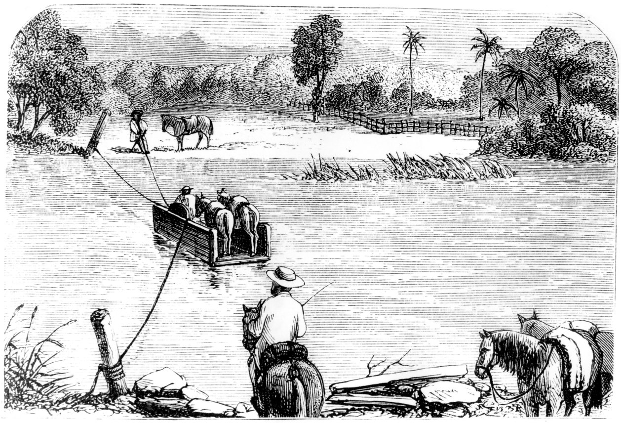 Korsar Isabella, Santo Domingo, 1873 av Unbekannt