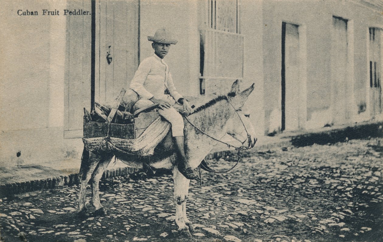 Kubansk frukthandlare, c1908 av Unbekannt