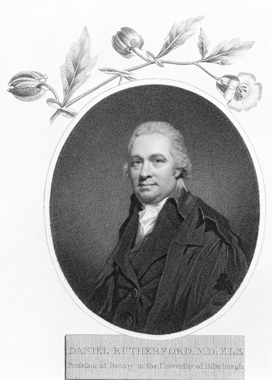 Daniel Rutherford, sent 1700-tal av Unbekannt