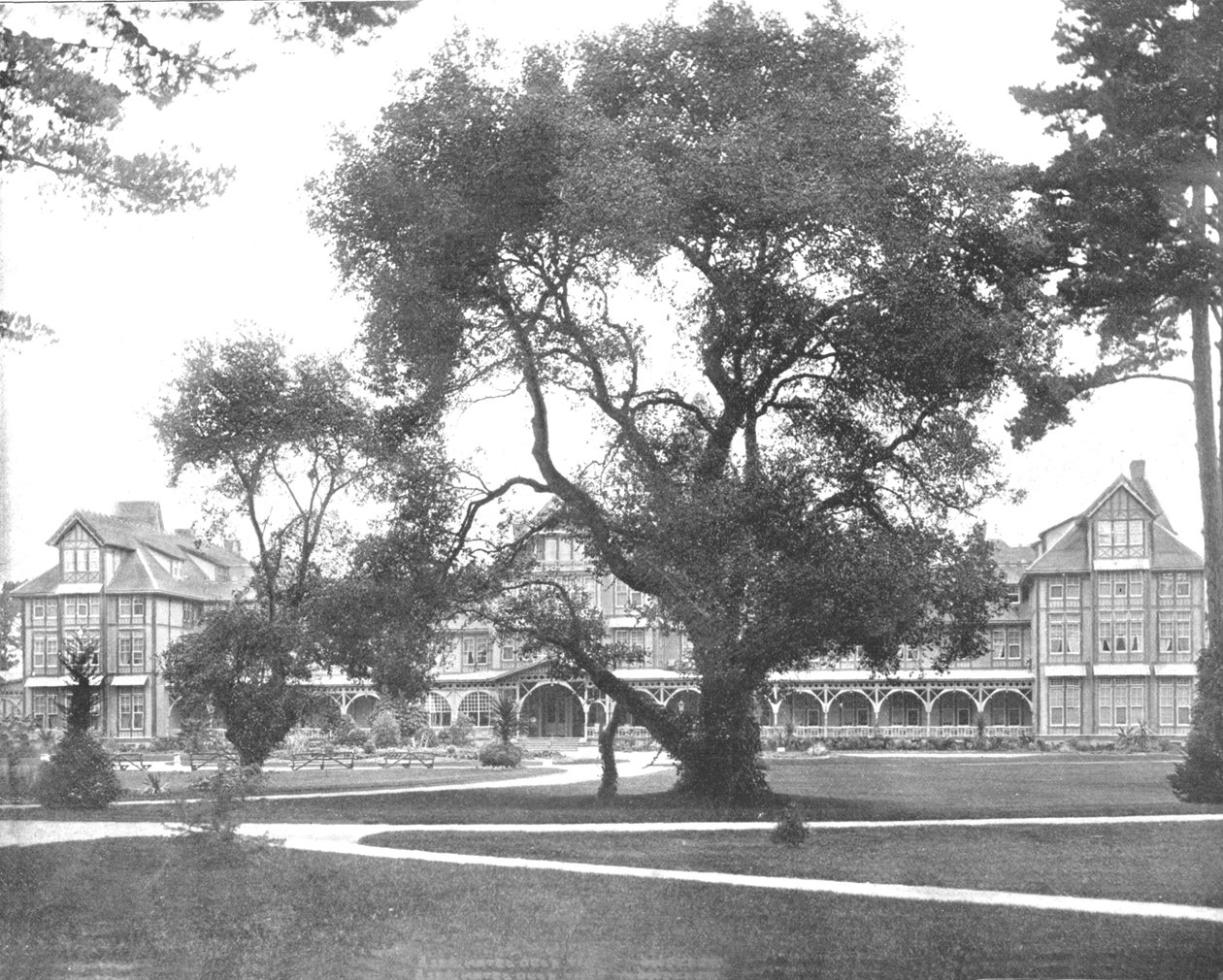 Del Monte, Monterey, Kalifornien, USA, c1900. av Unbekannt