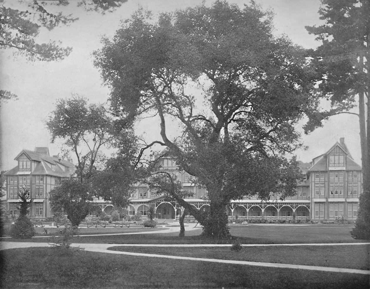 Del Monte, Monterey, Kalifornien, c1897. av Unbekannt