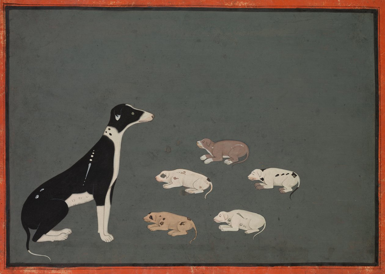 Hund med valpar, c. 1780. av Unbekannt