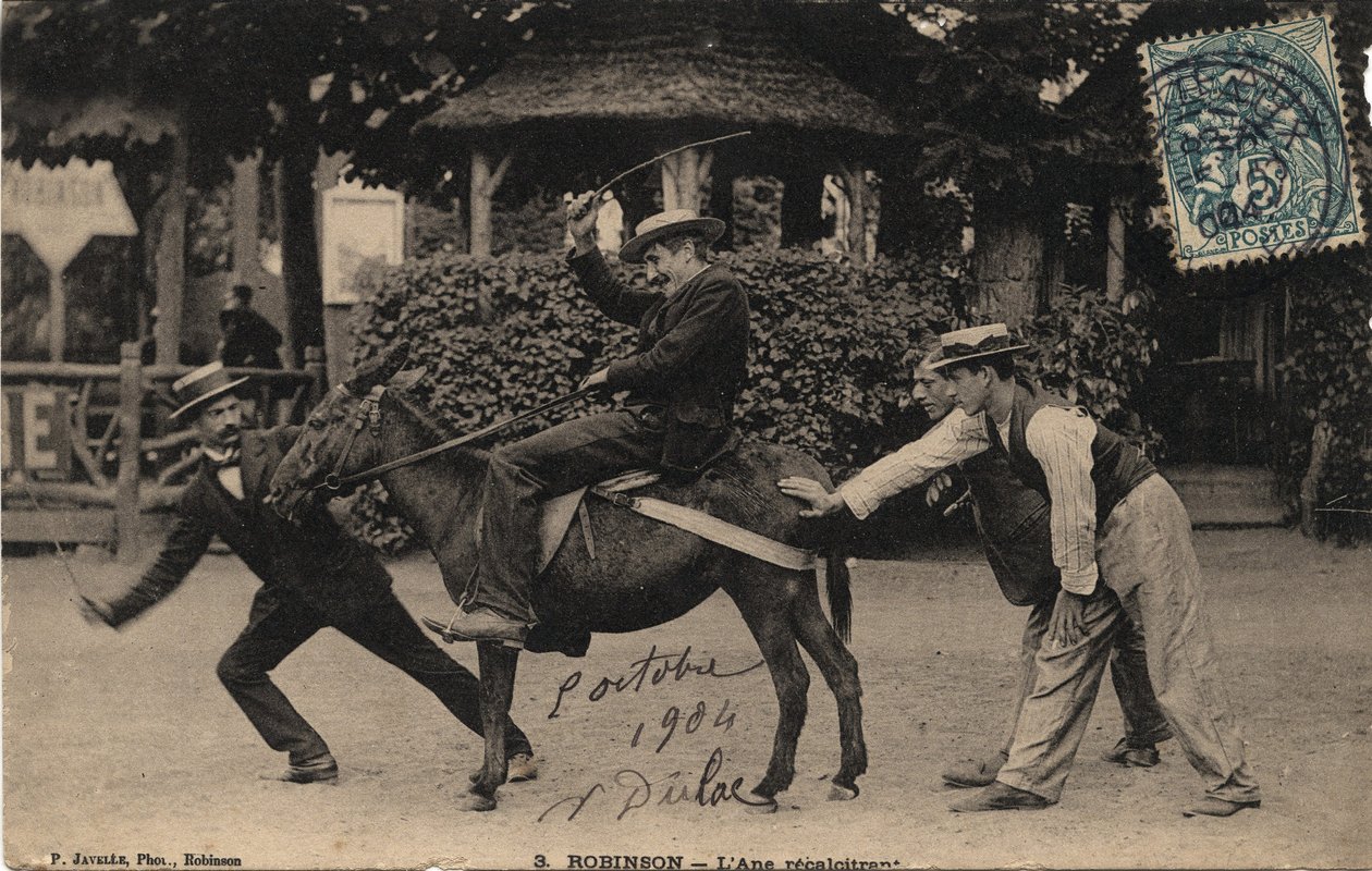 Donkey Tetu and Recalcitrant - Vykort daterat 1904 av Unbekannt