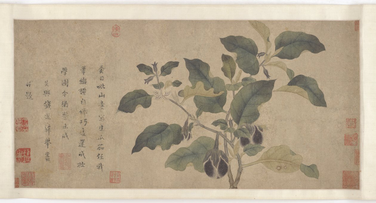 Aubergine, Yuan eller Ming dynastin, 1300-talet. av Unbekannt