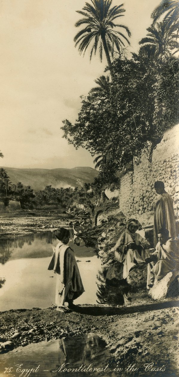 Egypten - Noontiderest in the Oasis, c1918-c1939. av Unbekannt