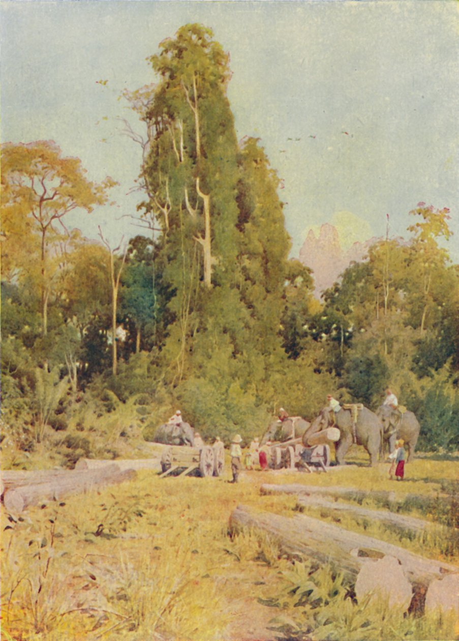 Elephants Piling Teak, 1924 av Unbekannt