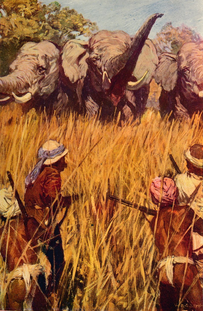 Elephants in Chase, c1850 c1912 av Unbekannt