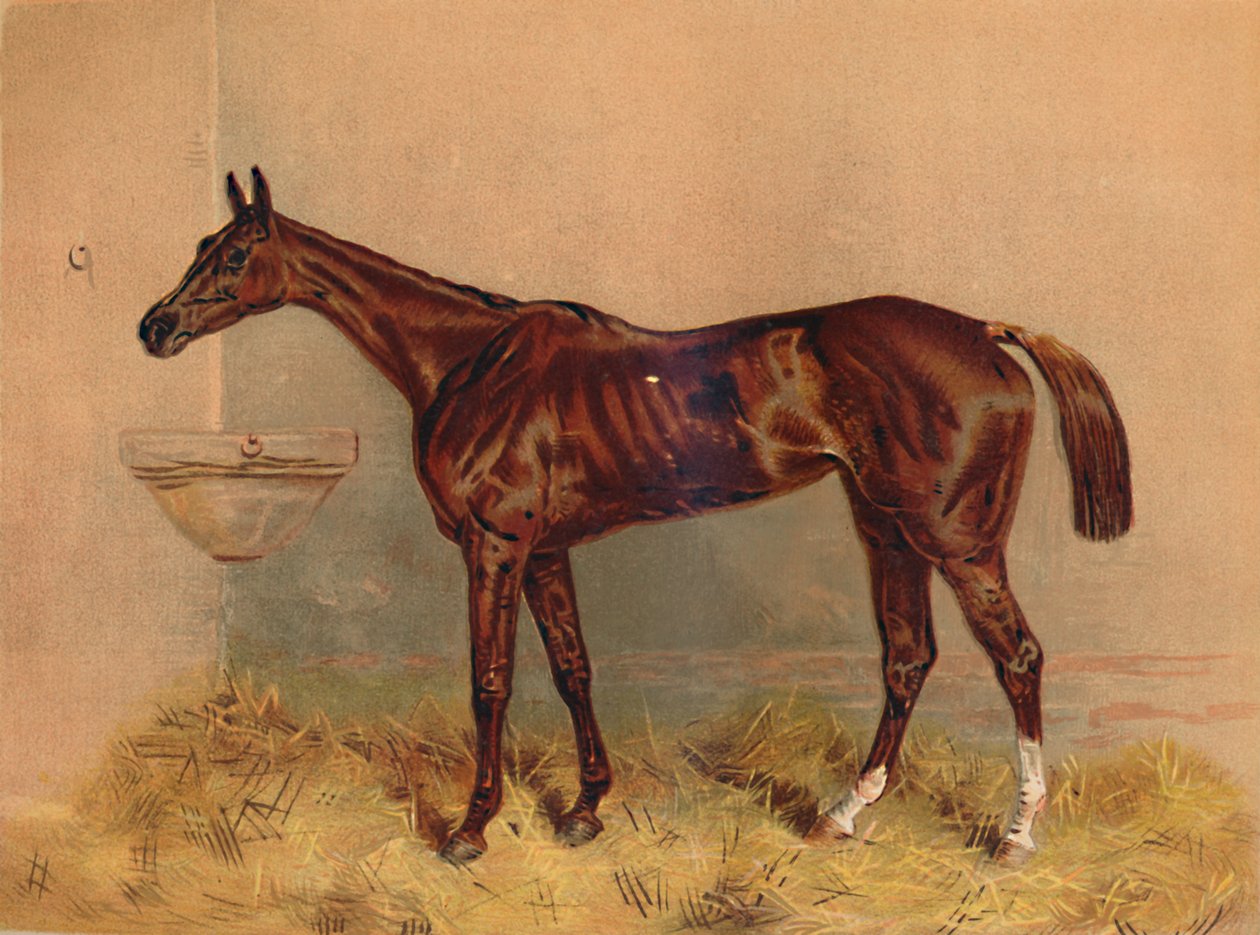 Emblem, Steeplechase Mare, c1879. av Unbekannt