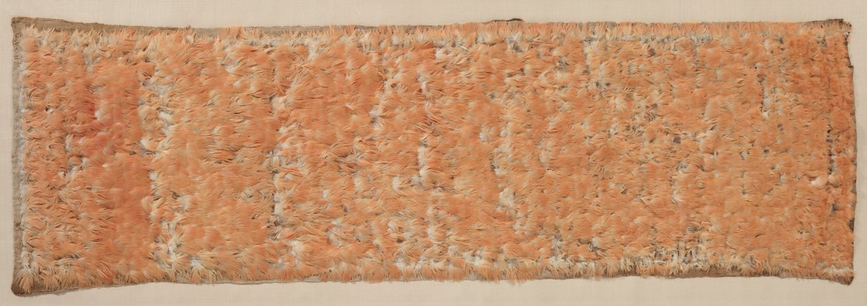 Fjäderpanel, 600-1500. av Unbekannt