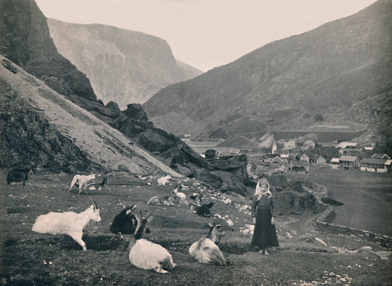 Flam, 1914. av Unbekannt