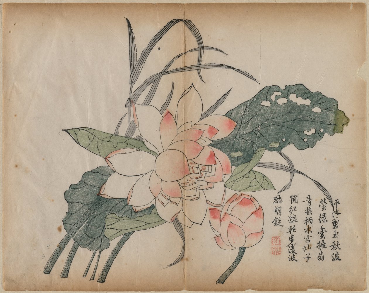 Blommande lotus och knopp, 1700-talet. av Unbekannt