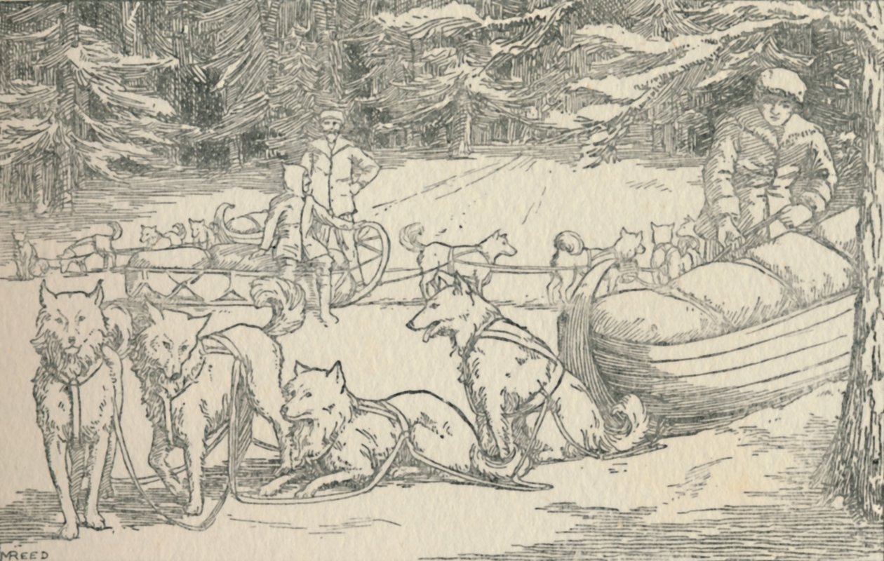Pälsfångare, 1924 av Unbekannt