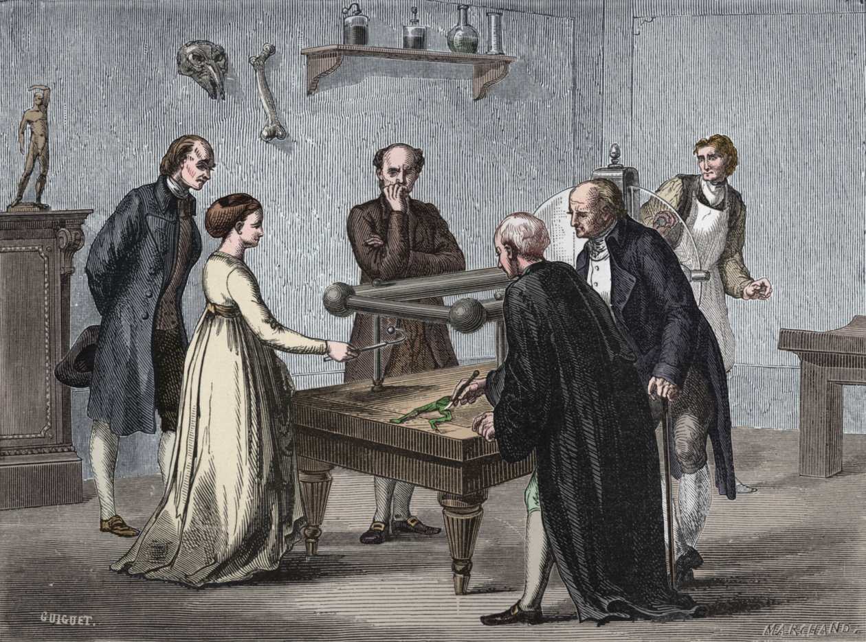 Galvanis upptäckt, 1780 1894 av Unbekannt