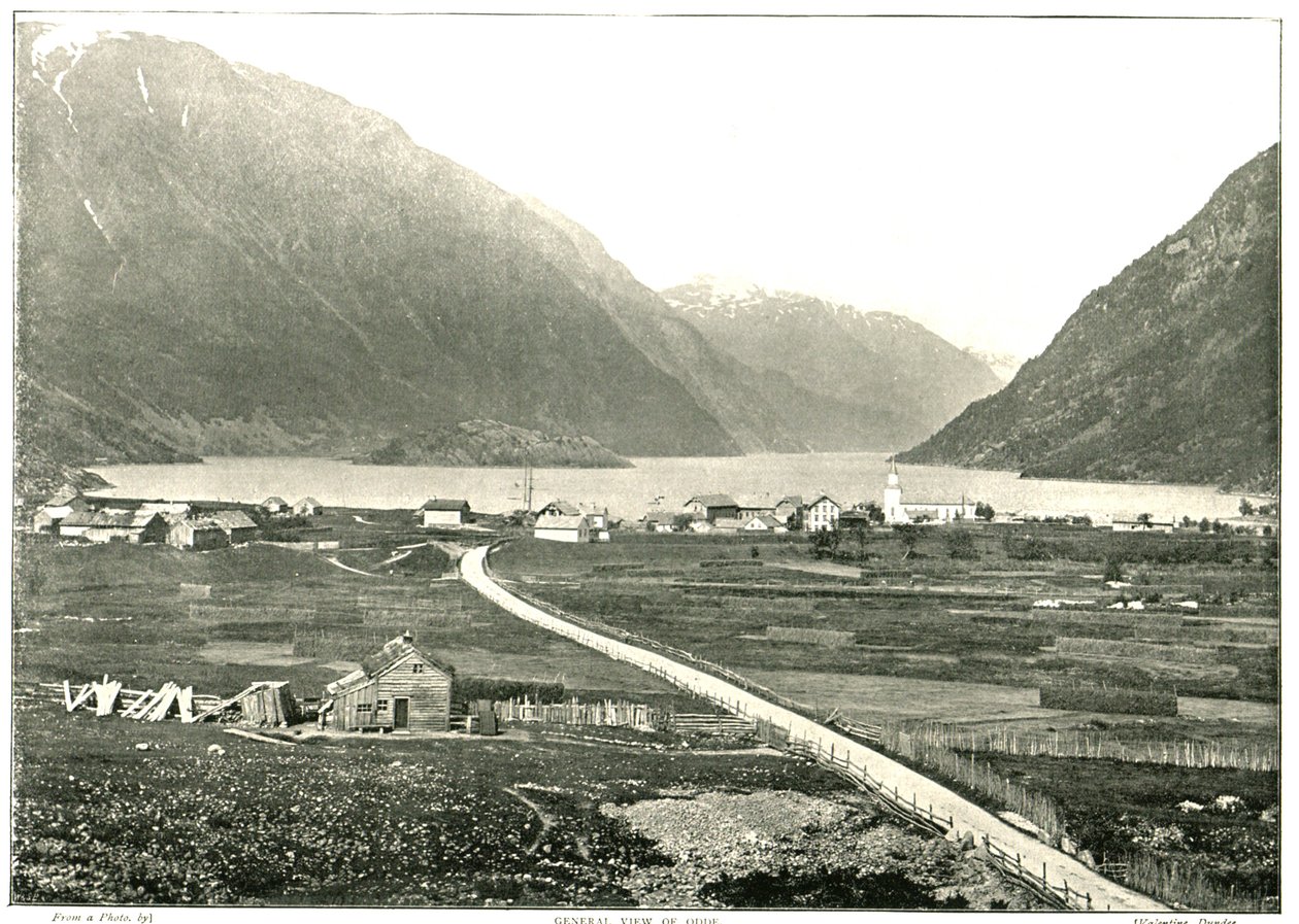 Allmän bild, Odde, Norge, 1895. av Unbekannt
