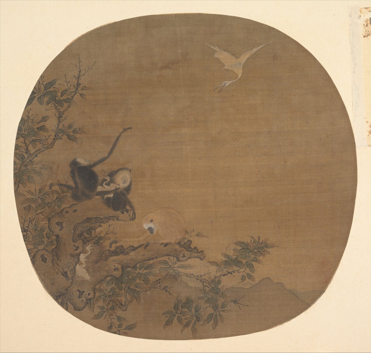 Gibbons raiding an Egret