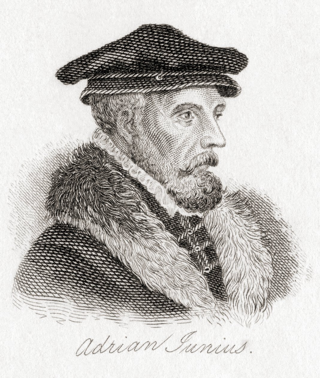 Hadrianus Junius, 1511–1575, aka Adriaen de Jonghe. av Unbekannt