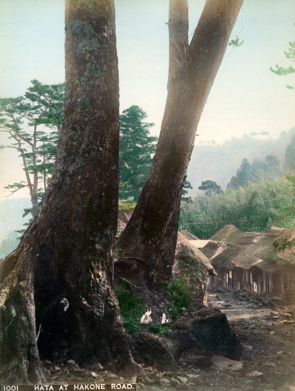 Hata vid Hakone Road, Japan, tidigt 1900-tal av Unbekannt
