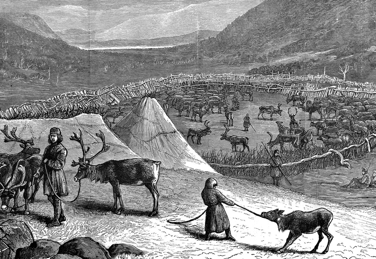 Renhjord, Lappland, 1882 av Unbekannt