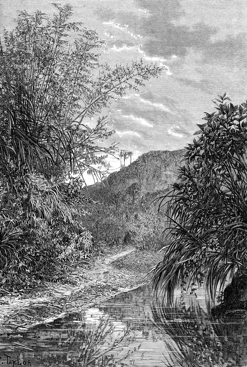 Highland Landscape, Formosa, c1890 av Unbekannt