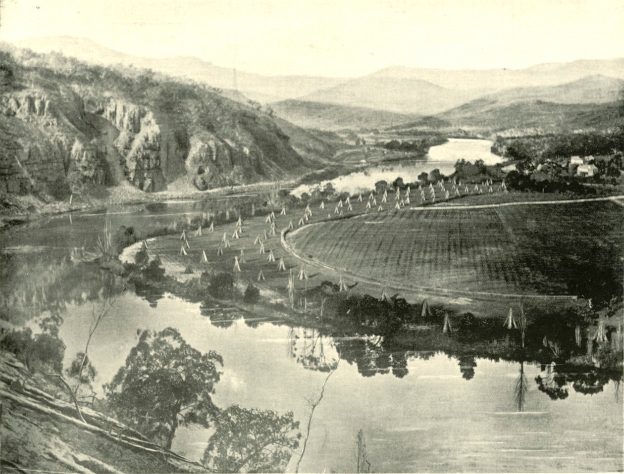Humleträdgårdar i Tasmanien, 1901. av Unbekannt