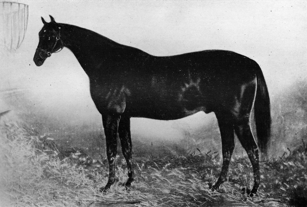 Gästfrihet, 1800-talet, 1911 av Unbekannt