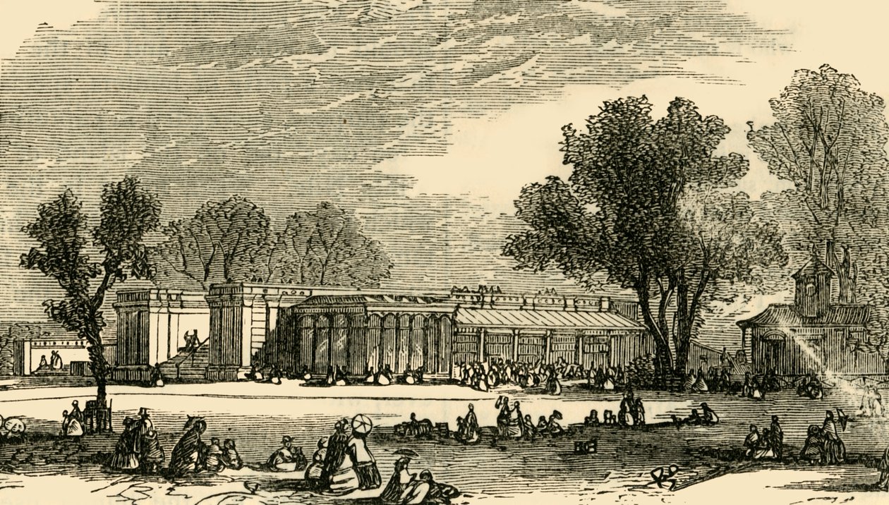 Carnivoraens hus, c1876. av Unbekannt