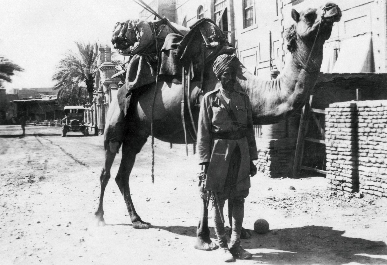 Indisk kameltrooper, Bagdad, 1918 av Unbekannt