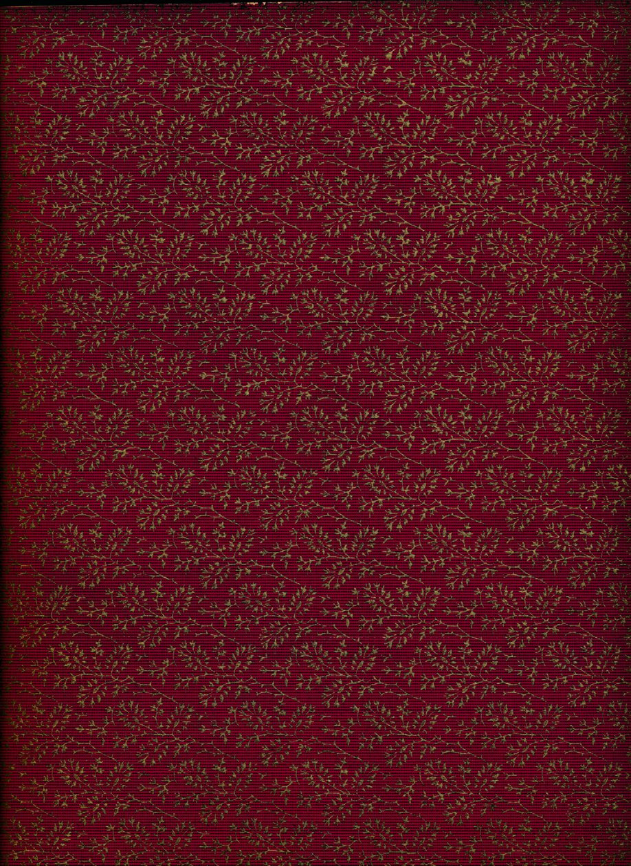 Mönster på insidan av omslaget, 1901, 1901 av Unbekannt