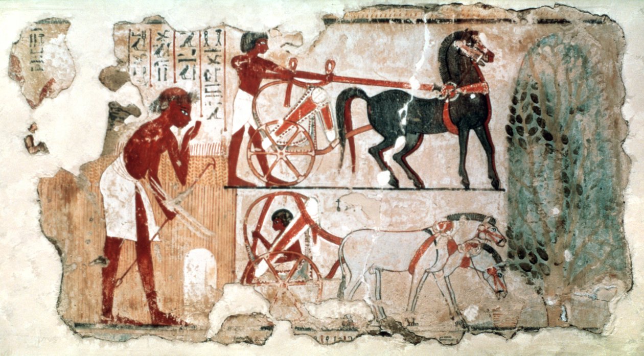 Inspektera fälten, 1350 f.Kr av Unbekannt