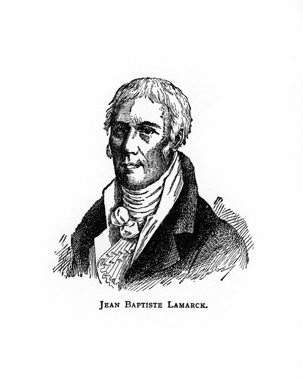 Jean-Baptiste Lamarck, fransk naturforskare, 1900-talet av Unbekannt