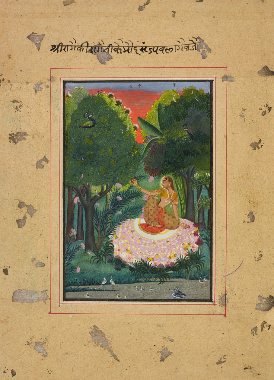 Kommod Ragini, Folio från en Ragamala, ca. 1770-1775. av Unbekannt