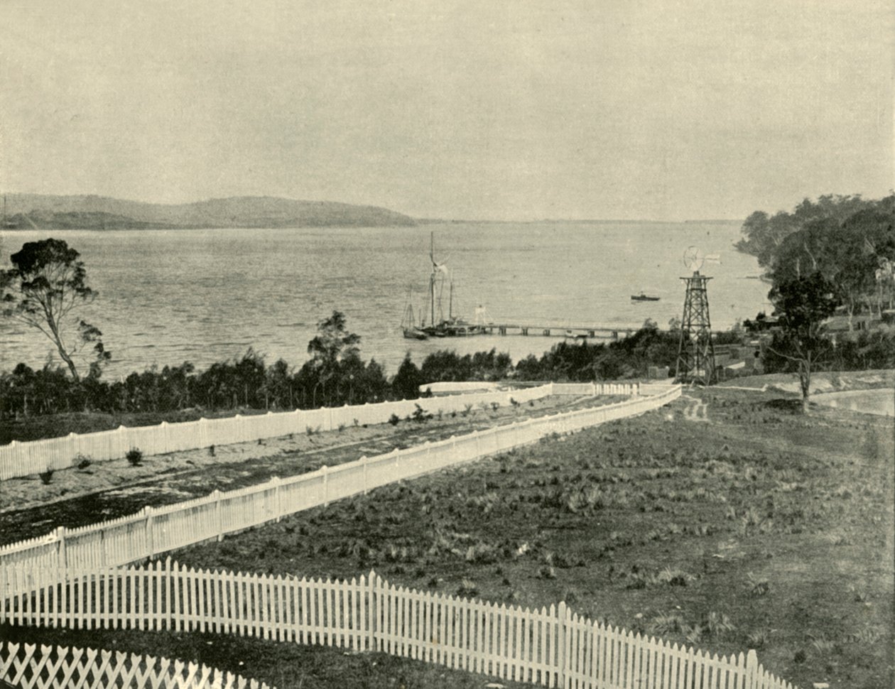 Lake Macquarie, från Toronto, 1901. av Unbekannt