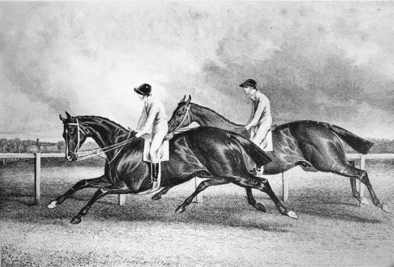 Launcelot och Maroon, c1840-talet, 1911 av Unbekannt