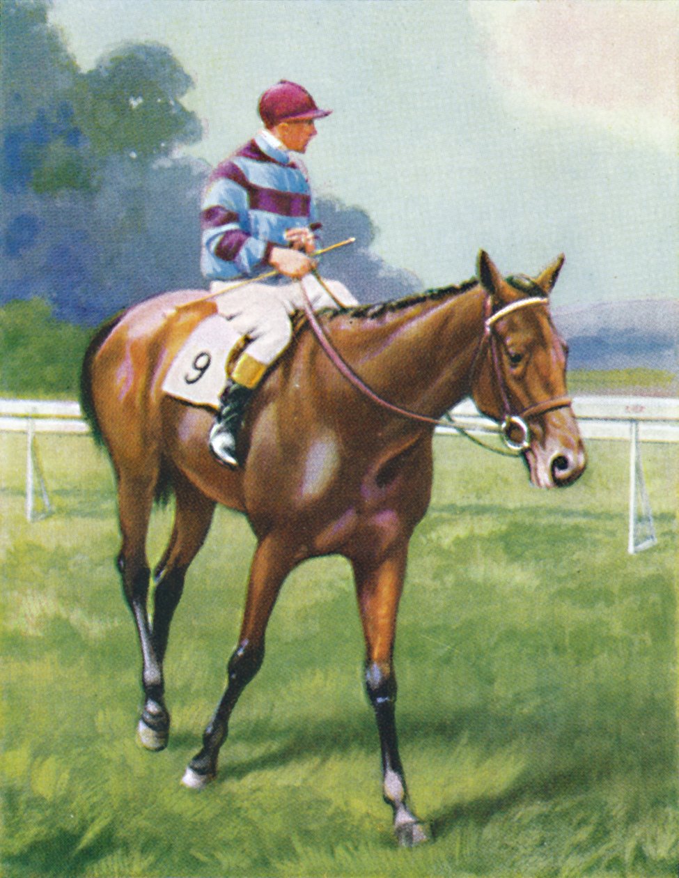 Legend of France, Jockey: A. Richardson, 1939 av Unbekannt