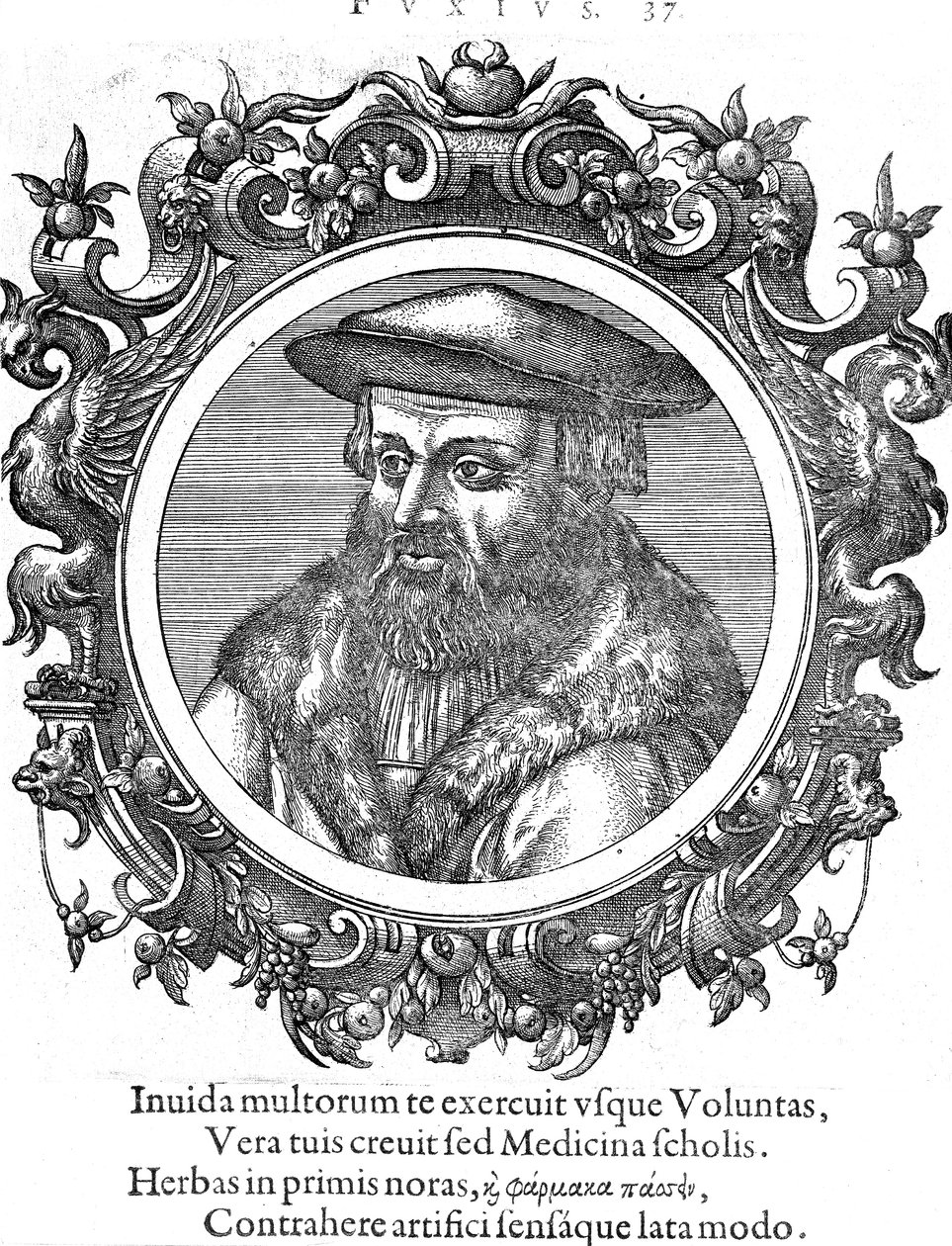 Leonhard Fuchs, tysk botaniker och läkare av Unbekannt
