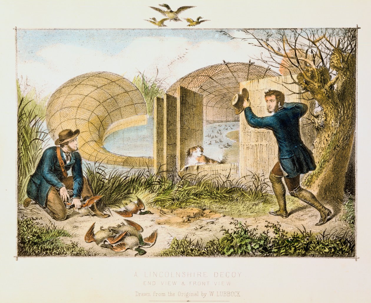 Lincolnshire Duck Decoy, c1845 av Unbekannt