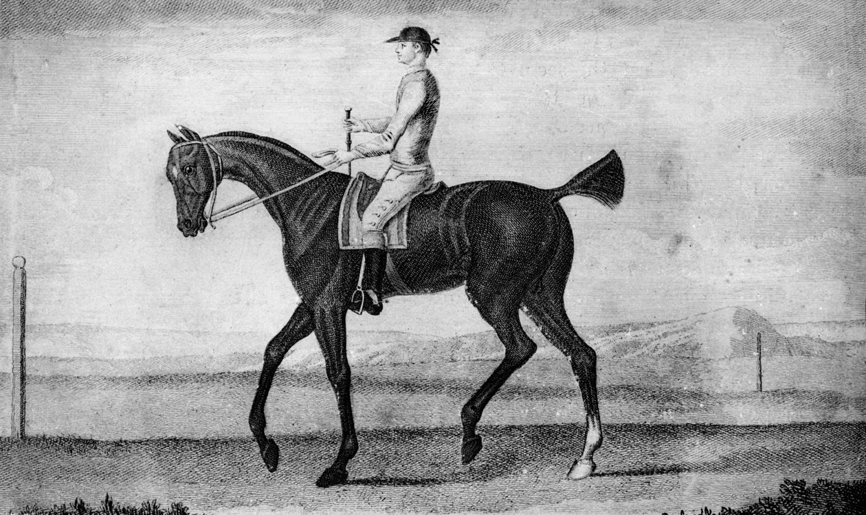 Little Driver, c1850-1900, 1911 av Unbekannt