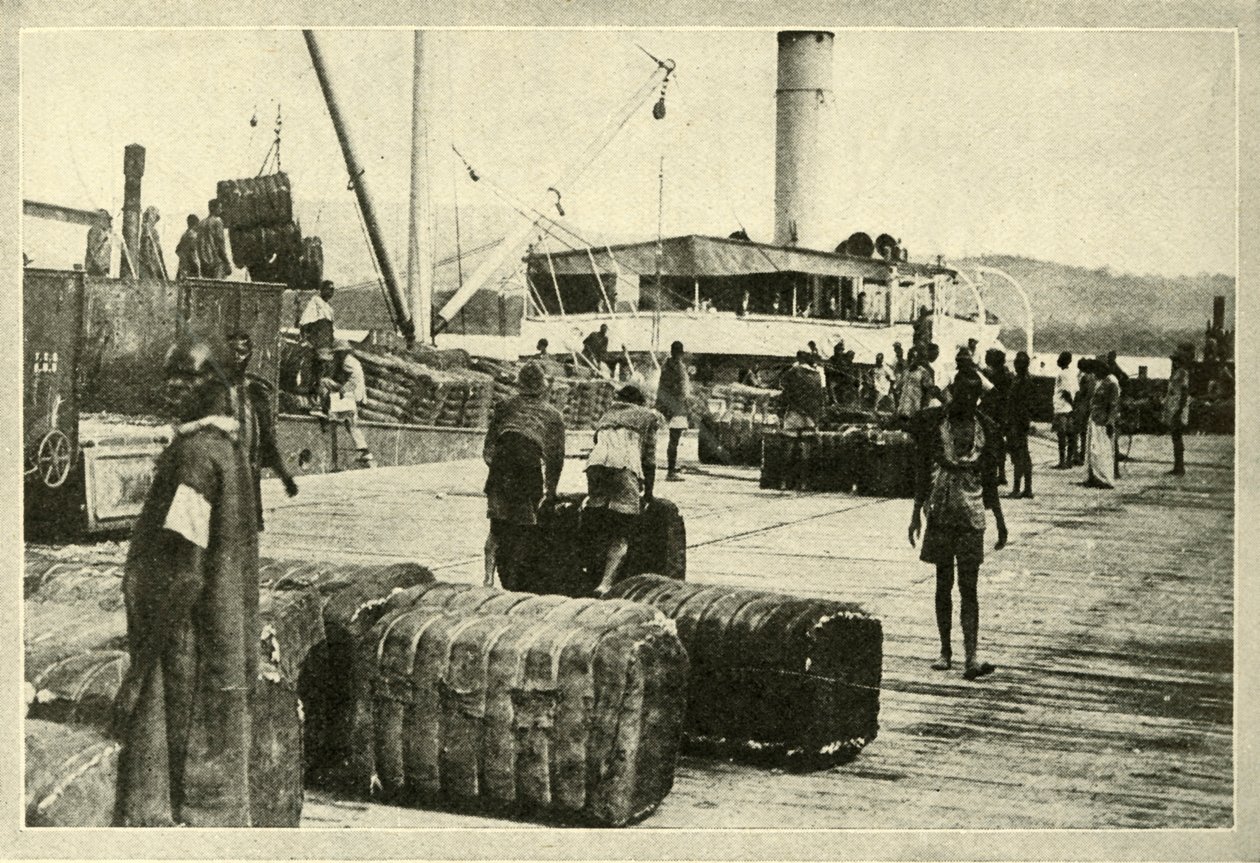 Lastar en last av bomull, c1948. av Unbekannt