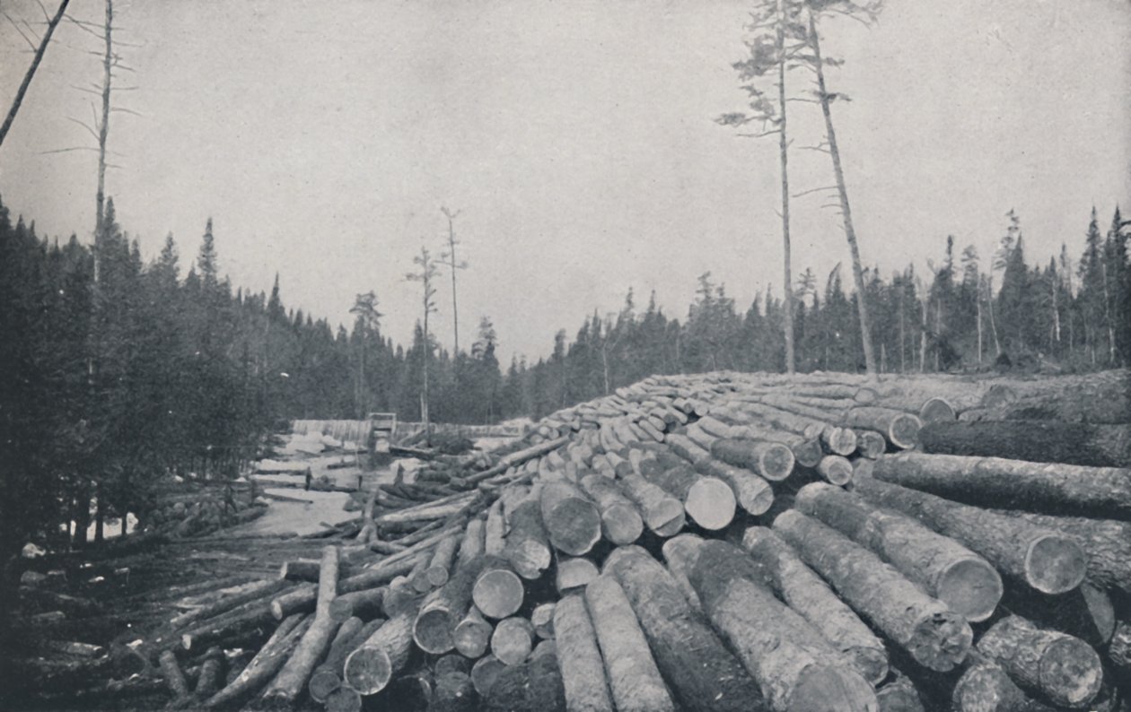 Lumbering, 1924 av Unbekannt
