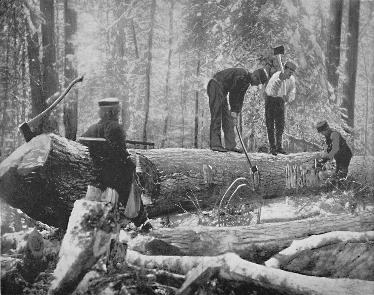 Lumbering på Ottawa River, Kanada, c1897. av Unbekannt