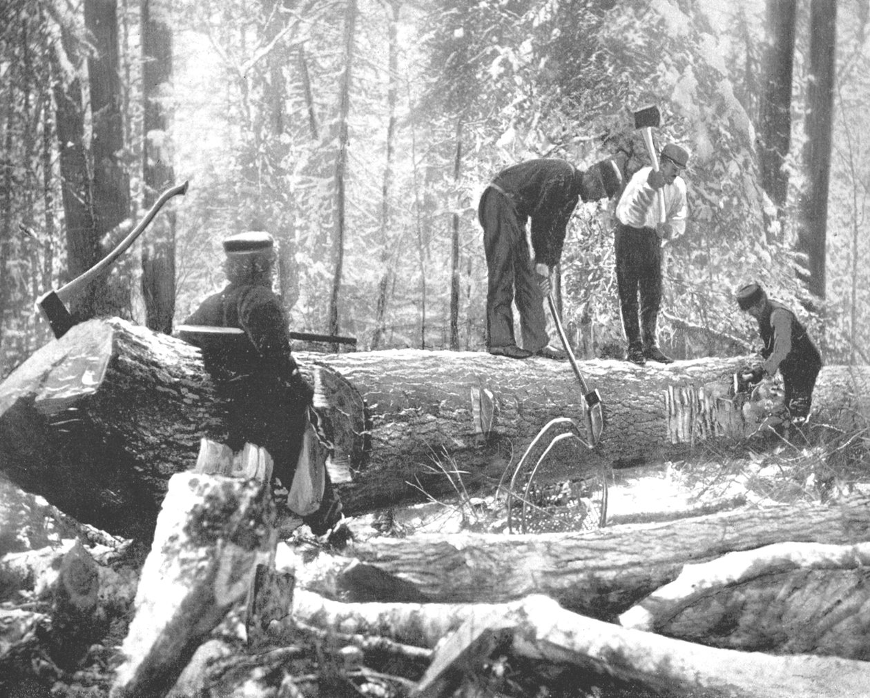 Lumbering på Ottawa River, Kanada, c1900. av Unbekannt