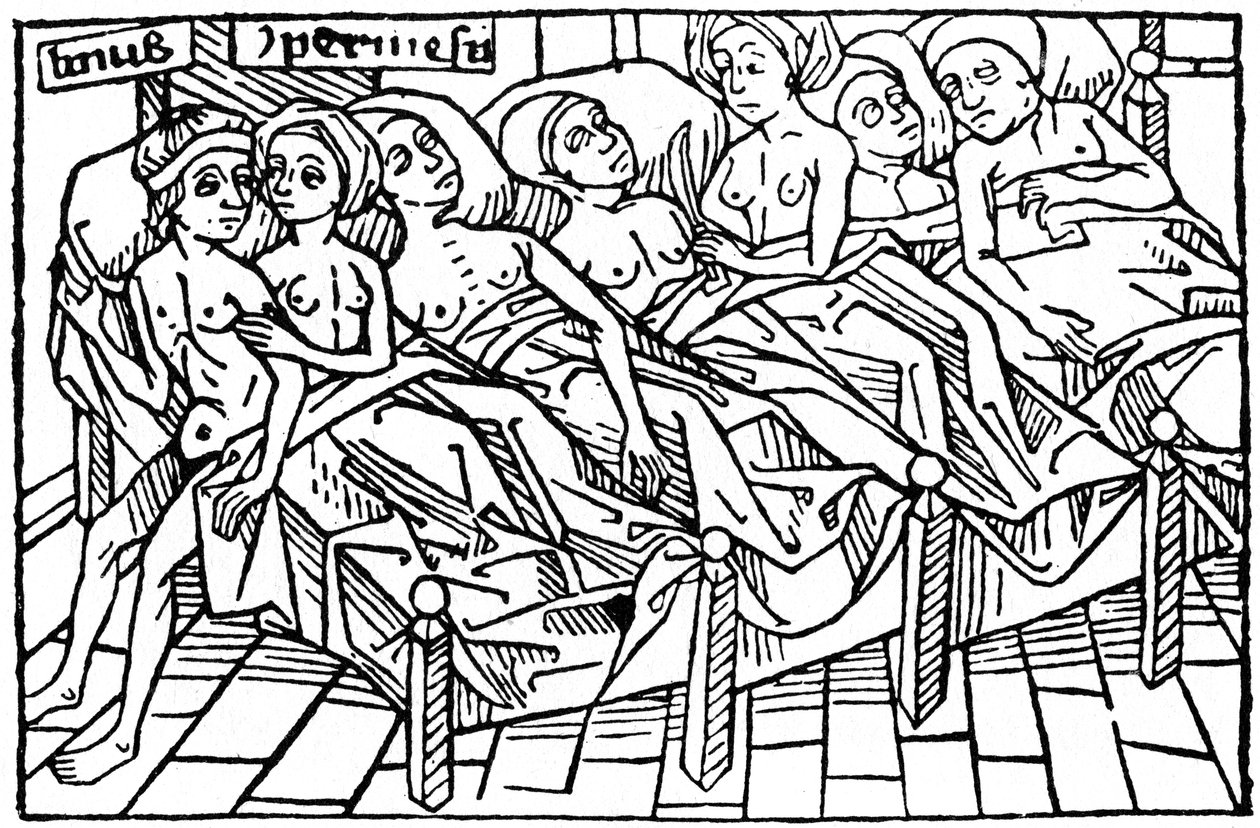 Lynceus och Hypermnestra, 1479 1964. av Unbekannt