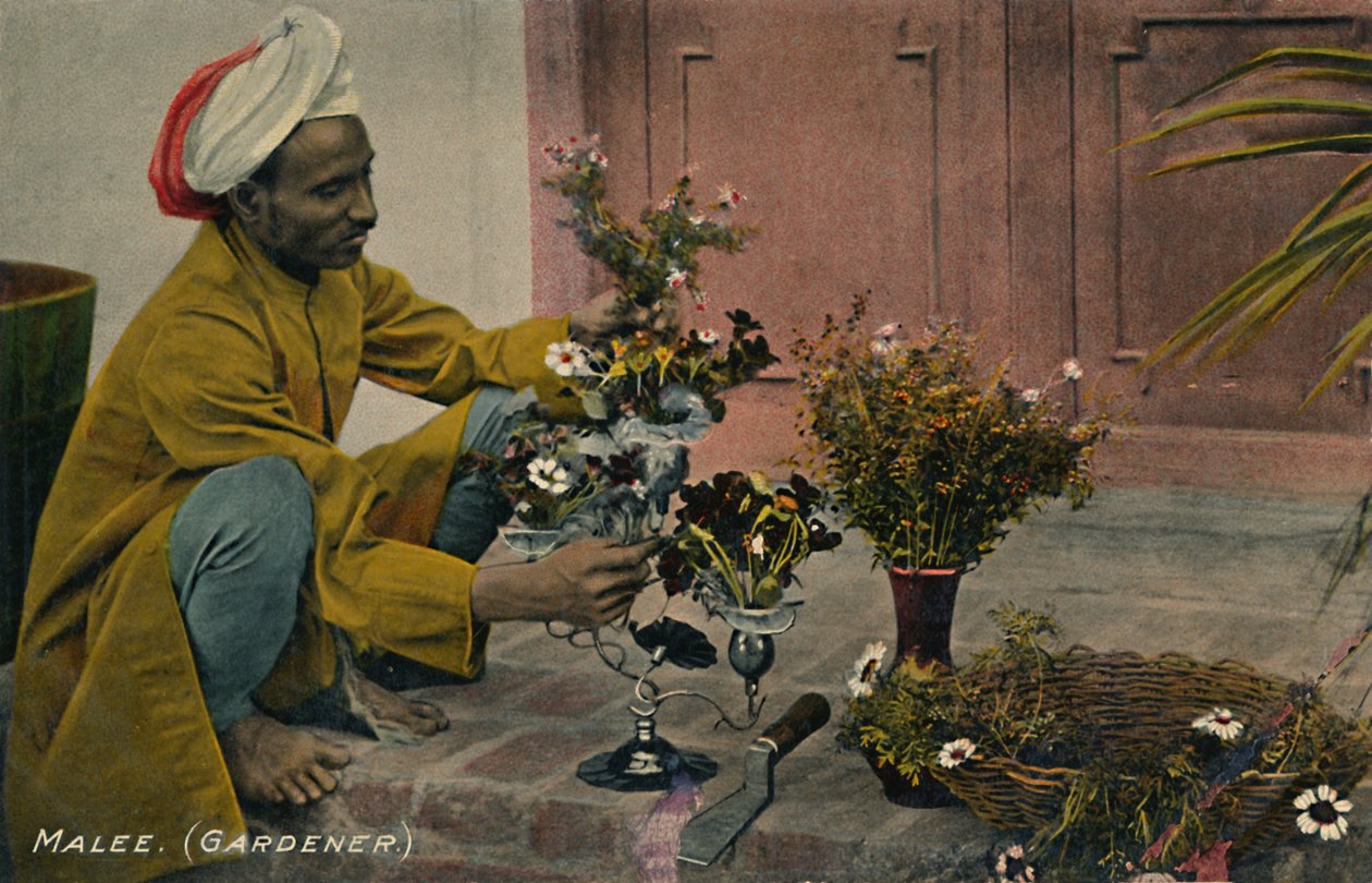 Malee. Trädgårdsmästare, c1910. av Unbekannt