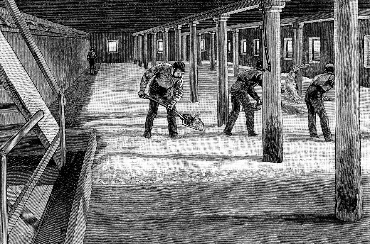 Mältningsgolv i ett amerikanskt bryggeri, 1885 av Unbekannt