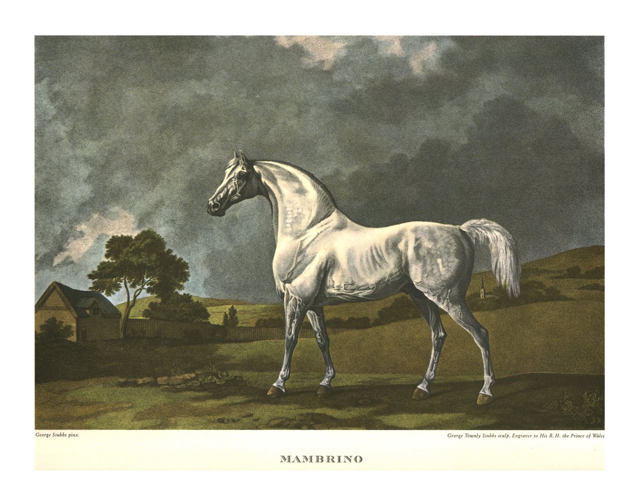 Mambrino, c1779, c1955. av Unbekannt
