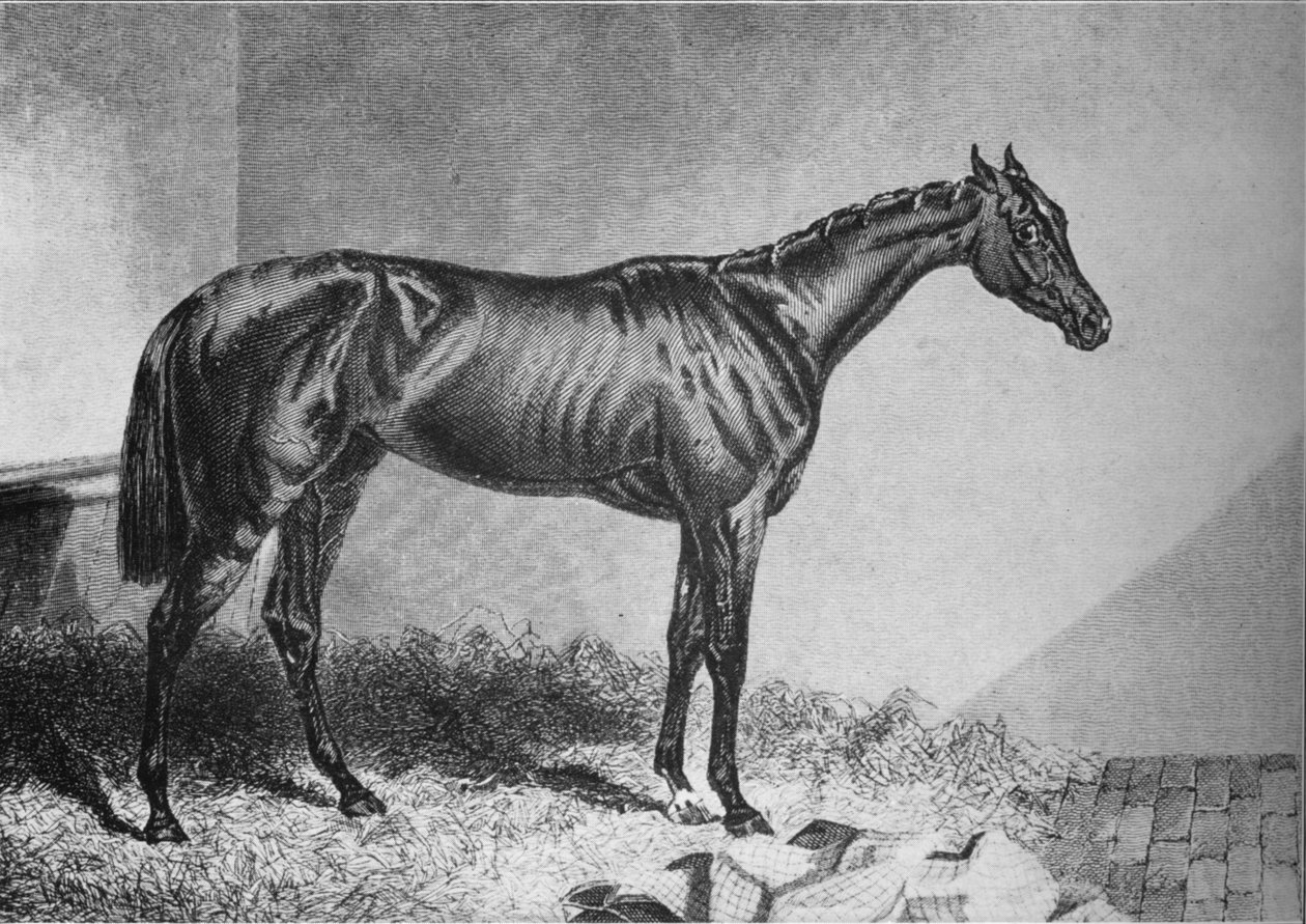 Mendicant, 1800-talet, 1911 av Unbekannt