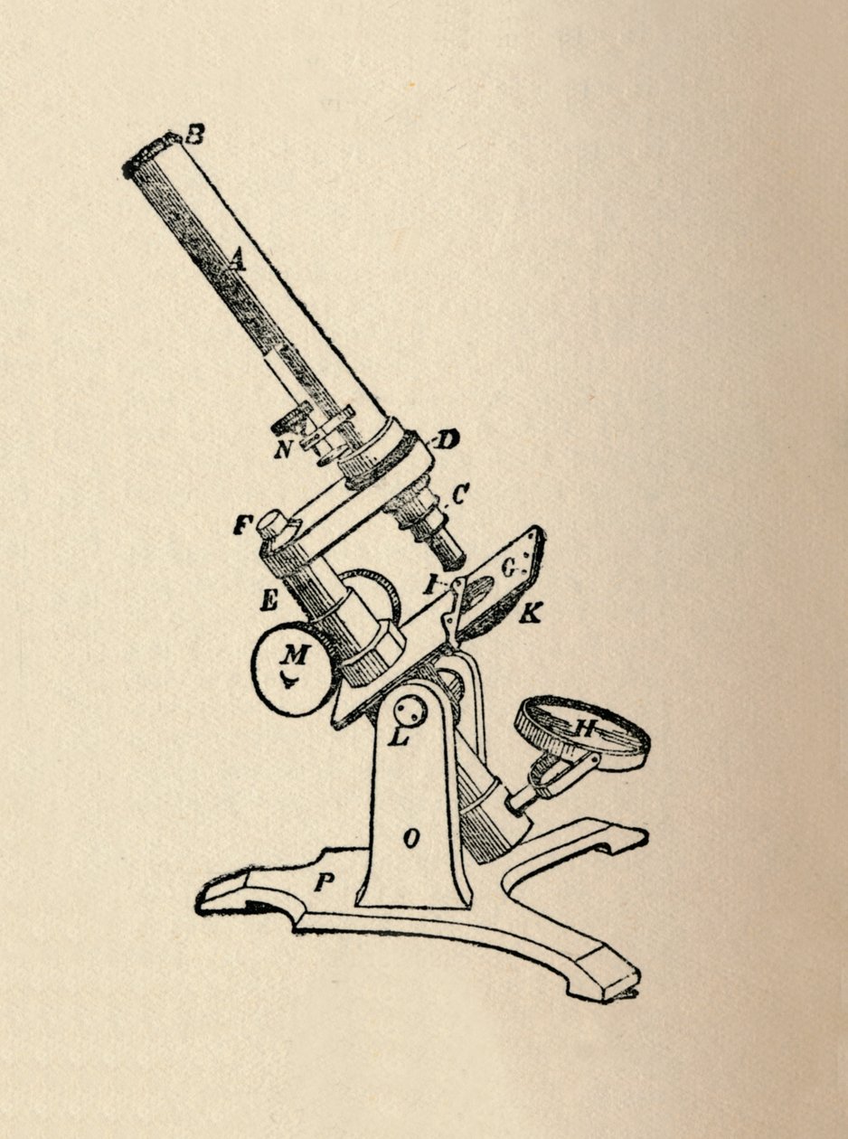 Mikroskop, 1912 av Unbekannt