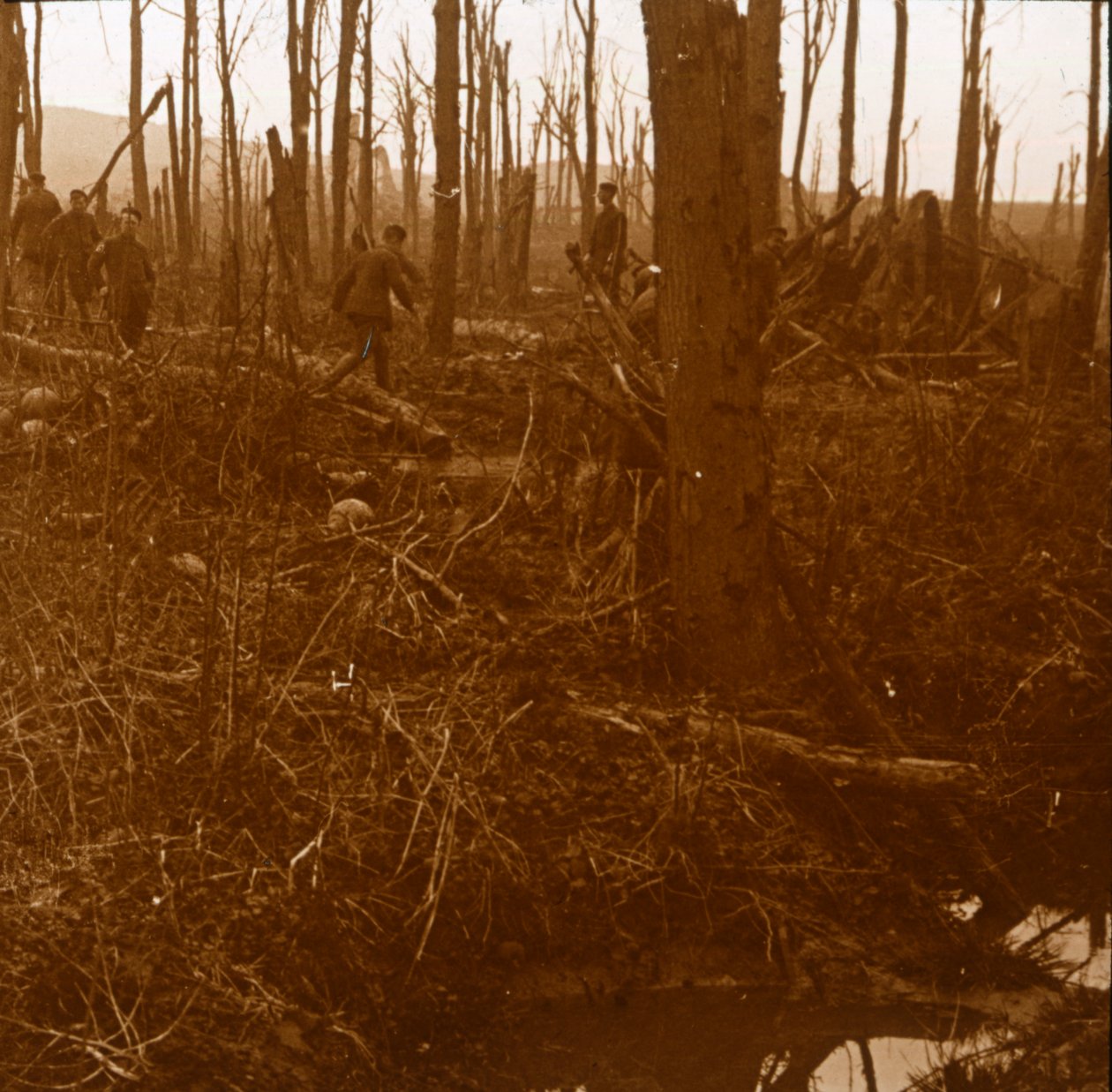 Mount Kemmel, Flandern, Belgien, c1914-c1918 av Unbekannt